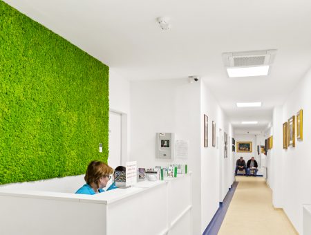 Recepția Clinicii Ștefarimed, cu peretele verde